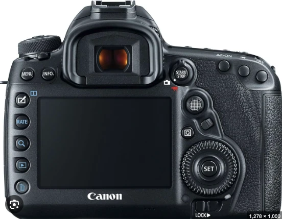 Canon DSLR/ Mirrorless Camera