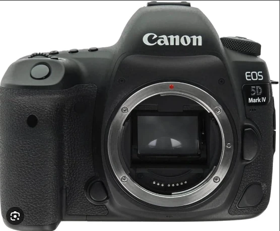 Canon DSLR/ Mirrorless Camera